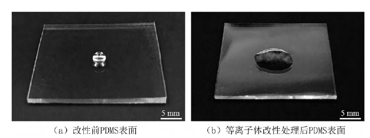 PDMS基片氧等離子處理前后水滴角對比