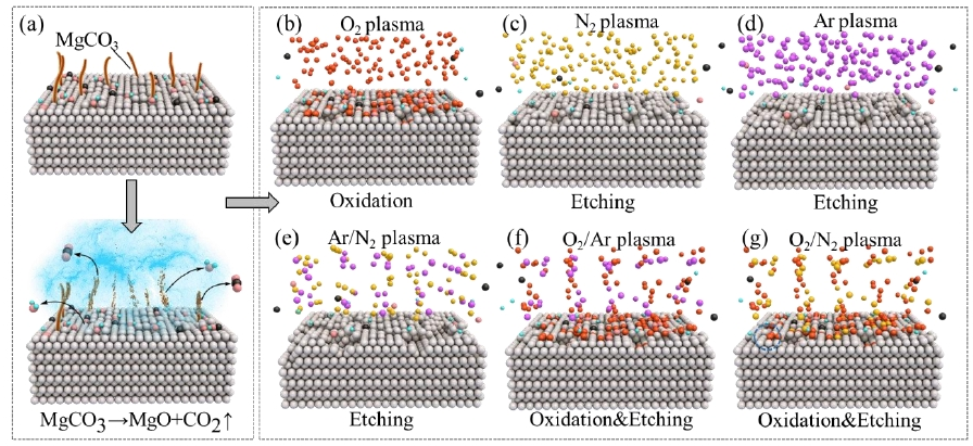 不同等離子體對鎂合金表面的作用